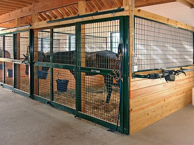 Содержание лошадей в конюшне в Самаре | ЗооТом портал о животных